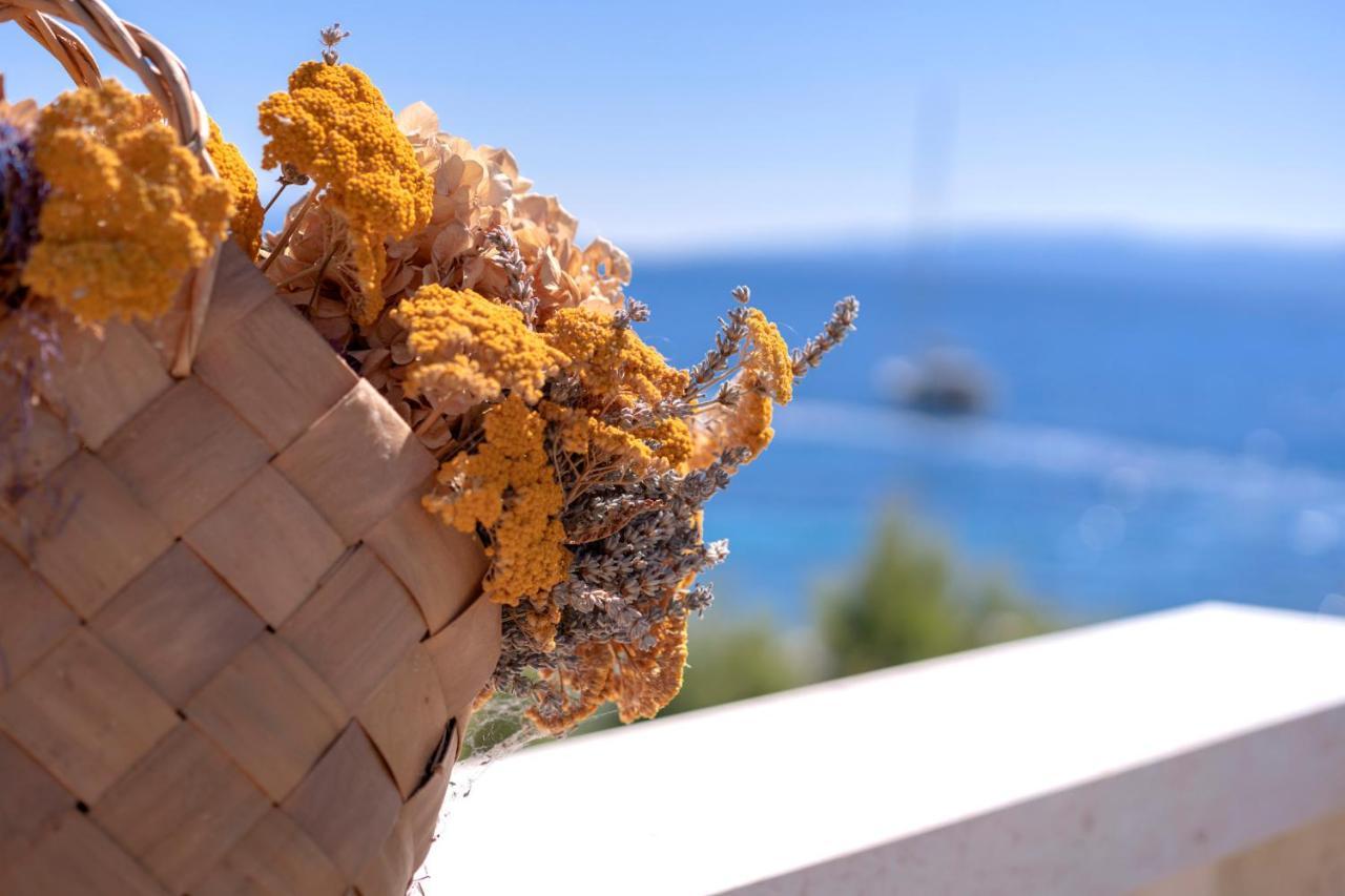 Hotel Pansion Marjan Zavala Esterno foto